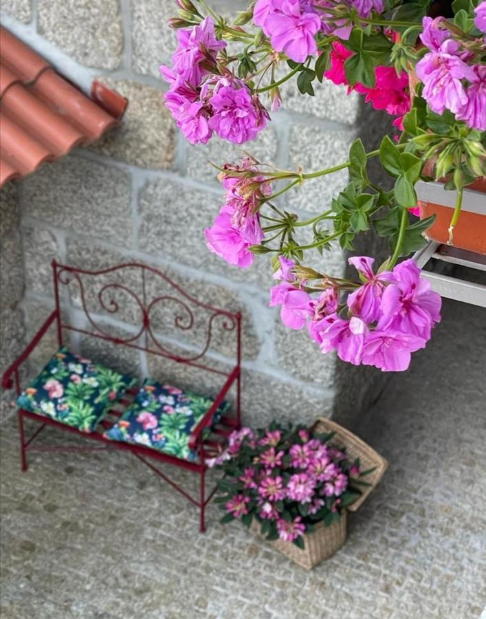 Casa Da Portela - Sem Igual Meinedo Esterno foto